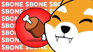 BONE能否超越Shiba Inu?BONE未来会涨到多少 BONE能否超越Shiba Inu?BONE未来会涨到多少
