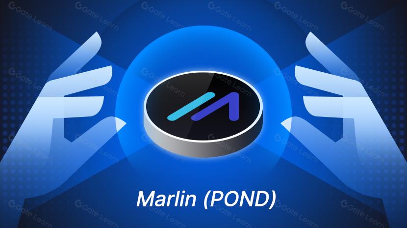 POND是什么代币？POND用途与技术优势解析