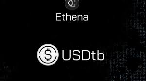 USDTb合规托管吗？USDTb如何实时兑换？