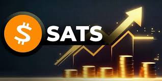 SATS一枚价值多少？｜SATS怎么买入合规托管
