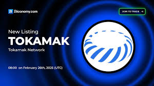 TOKAMAK有什么用途？| TOKAMAK链上治理机制解析