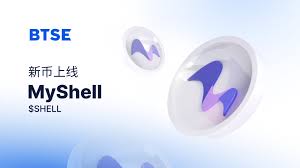 SHELL未来有涨幅空间吗 SHELL具体应用在哪些场景