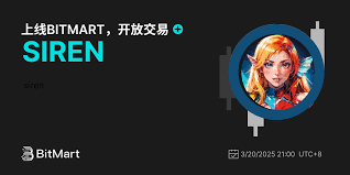 SIREN是什么代币用途？SIREN治理机制解析