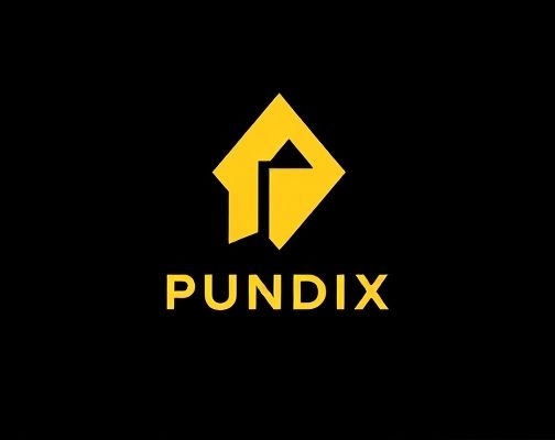 PUNDIX怎么买显著优势划算？PUNDIX未来应用范围有哪些