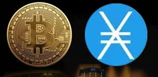 XNO如何创建钱包？XNO支持哪些区块链平台？