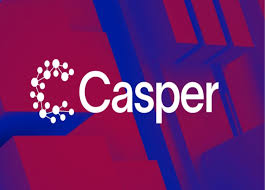 CSPR是哪个公链的代币？CSPR有哪些应用场景