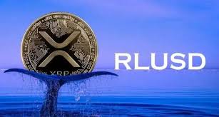 RLUSD是什么代币？RLUSD背后机制揭秘