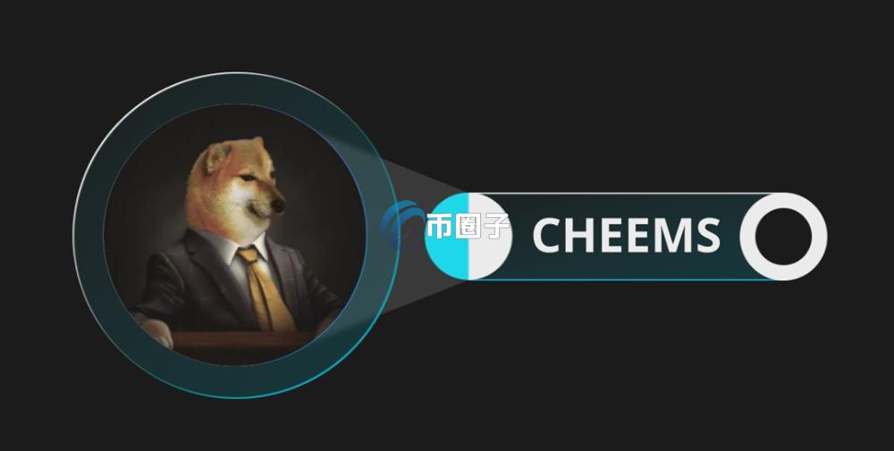 CHEEMS未来价值如何？CHEEMS社区活跃度分析