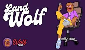 WOLF币未来前景如何？WOLF支持哪些生态应用？