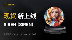 SIREN代币未来发展潜力？SIREN协议现状如何？