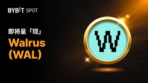 WAL是什么币用途是什么？WAL未来发展前景如何