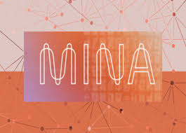 MINA哪种钱包能存？MINA网络怎么保持轻量？
