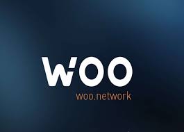 WOO代币用途有哪些？WOO未来发展潜力解析