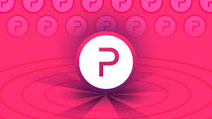 POLYX 是什么代币？｜POLYX 如何进行链上治理