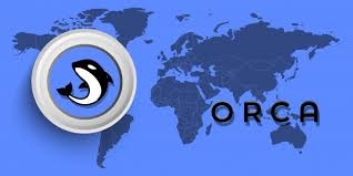 ORCA前景如何？ORCA在哪个平台使用？
