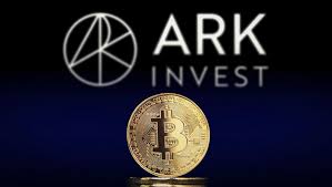 ARK如何运作？｜ARK生态系统有哪些应用？