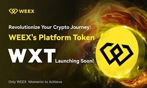 WXT值得长期持有吗？WXT有哪些实际用途？