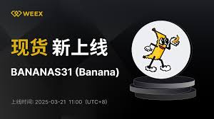 BANANAS31币有潜力吗？BANANAS31用途是什么
