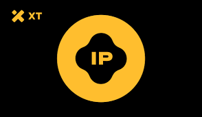 IP币怎么玩才能收益高｜IP项目有什么用？