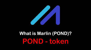 POND是做什么的？POND的作用和用途解析