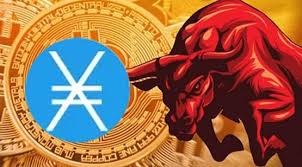 XNO交易费为什么这么低？XNO支持哪些钱包？