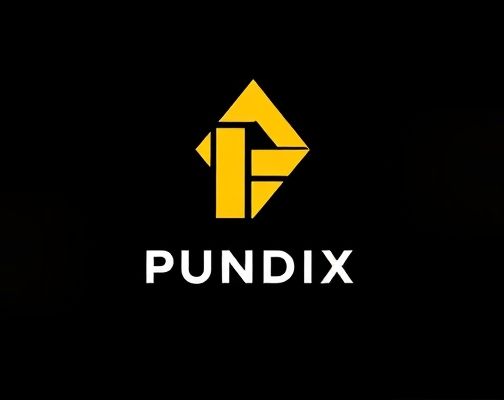 PUNDIX未来走势如何？PUNDIX有什么实际应用？