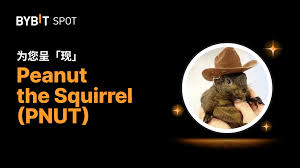 PNUT 是什么代币？PNUT 有哪些实际应用