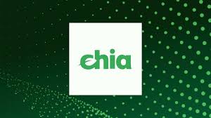 XCH是做什么的？XCH未来还有发展吗？