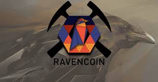RVN是做什么用的？RVN是否有实际应用？