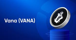VANA如何获取代币空投？ VANA支持哪些数据模型？
