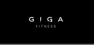 GIGA合法吗？GIGA未来有何实际用途？