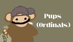 PUPS上线在哪个平台？ | PUPS未来发展趋势如何