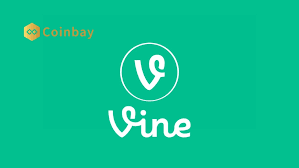 VINE代币的真实用途是什么？VINE如何参与分布式账本生态？