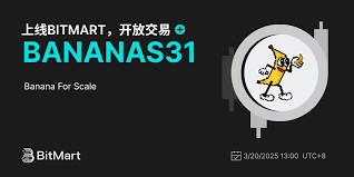 BANANAS31未来有何潜力？BANANAS31是否具备长期价值？