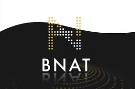 BNT有哪些实际应用？BNT未来还有发展空间吗