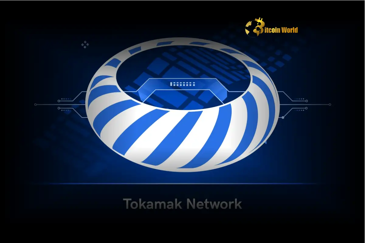 TOKAMAK代币有发展空间吗？｜TOKAMAK生态支持哪些项目？