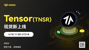 TNSR什么时候上线交易？TNSR代币用途有哪些？