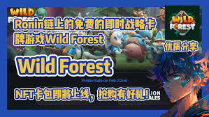 WILD怎么买？WILD未来有潜力吗？