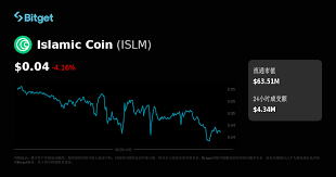 ISLM是什么代币？ISLM未来还有发展吗
