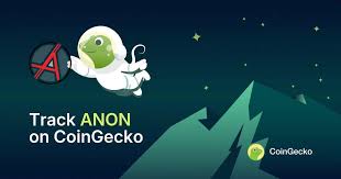 ANON是什么币？有哪些用途｜ANON合规托管吗？值得关注吗