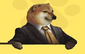 CHEEMS怎么购买？CHEEMS是否具备长期潜力