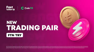 FTN是什么币种？价格走势分析-FTN未来发展潜力解析