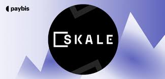 SKL在哪个平台可以使用?SKL如何参与链上治理 SKL在哪个平台可以使用?SKL如何参与链上治理