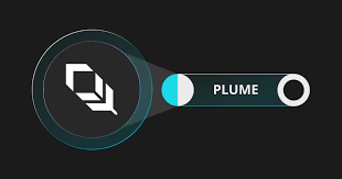 PLUME币未来有价值吗？PLUME生态有哪些创新？