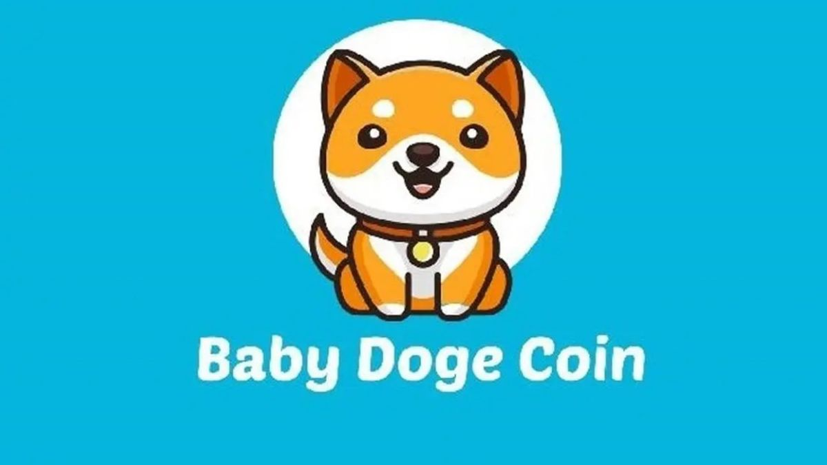 BabyDoge未来有涨幅潜力吗？BabyDoge背后是谁开发的