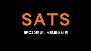 SATS是什么币？如何使用SATS进行支付