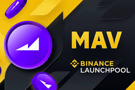 MAV今日价格是多少？MAV未来还有上涨空间吗？