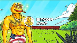 PEP怎么买才合规托管？PEP未来有什么用？