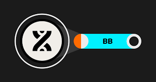 BB能否回撤控制定增长？BB背后团队是谁