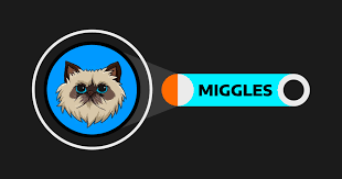 MIGGLES是否具备真实应用场景？｜MIGGLES的代币机制如何运作